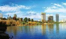 青春，随风飘荡　_900字