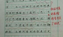 初一写人作文：我的同桌_650字