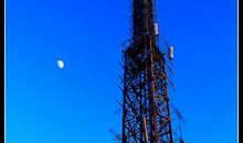 宽容——让明月高照_800字