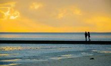 宽容是一片晴天_1200字