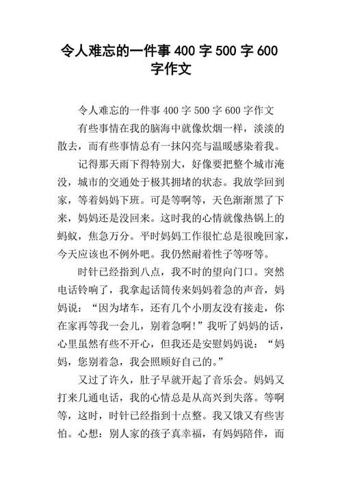 我的两个政治教师_600字