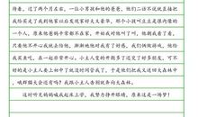 变形记作文变成狼