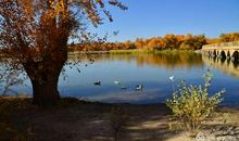 在路上（2）_600字