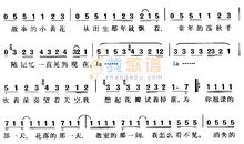 晴天的时候_700字