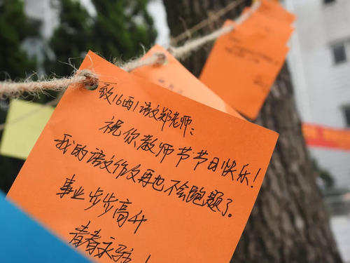 教如春风，老师就像一片深处。 _800字