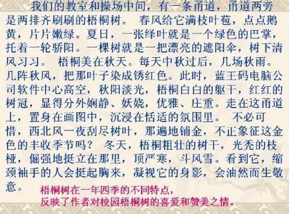 初中学生写作指导：写作成分焦点_450字