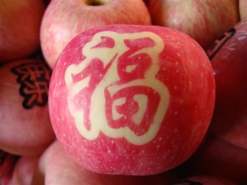 11月有一个奖品论文：一个苹果_1000字