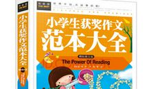 小学生作文写作方法：插叙法_100字