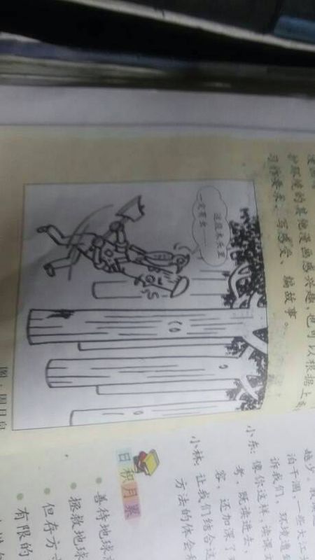 这块木材必须有昆虫_650字