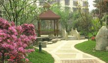 校园的一角_350字