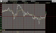 有谁看好这一股_700字
