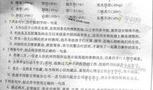 2009年高考语文病句试题：山东卷