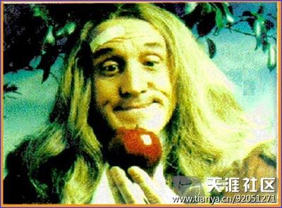 牛顿忘了我的工作