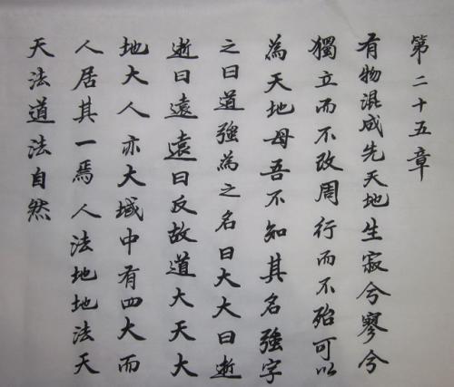 
这场战斗已经持续了很长时间并且尚未分开。宙斯终于伸展了一个帮助的手来掌控，他让赫特特尔先赶到墙壁。其他士兵也急于跟上，或者爬过两侧的墙壁。赫克托尔看到城门关闭，在门上有一块岩石。 Hercuer从地面上拉起巨大的石头，超人的力量并击中了门扇。结果，门闩被打破了，城门落下。赫克尔跳进了门口，他的士兵跟着落后，虽然数百人登上了墙壁。特洛伊叫赶到墙壁，希腊人逃到了战斗。
