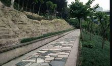 盘溪河污染情况调查_350字