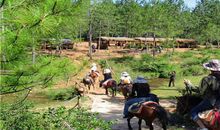 茶马古道跑马_800字