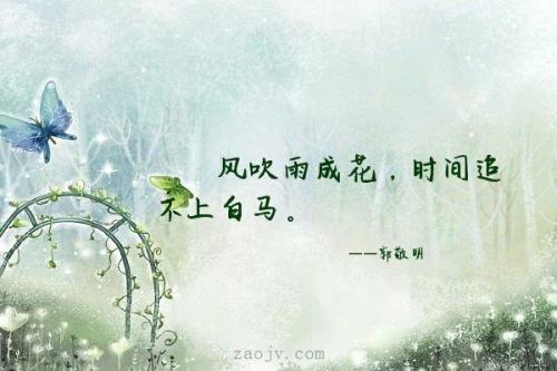 白马精神_400字