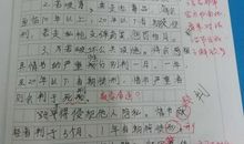 关于马的作文：马_1000字
