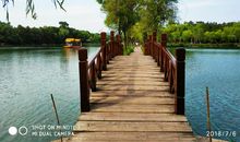 难忘的回忆_300字