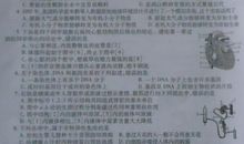 四川省内江市2009年中考作文题目