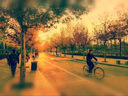 那些被时间粉碎的人_700字