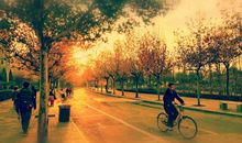 那些被时光碾碎的过往_700字