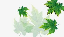 落叶在春天（二）_150字