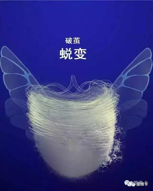 [七月欲望]我渴望改变_800字