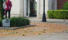 橘黄色的怀念_1200字