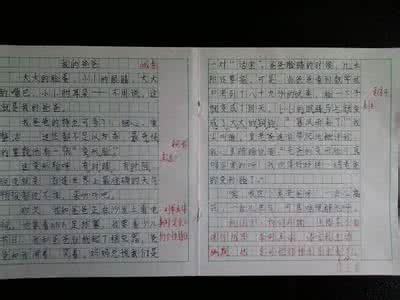 我爸爸的缺点_700字