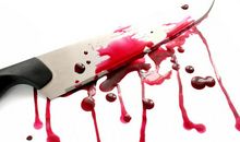 血之域（1）_1200字