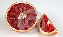 血之域（楔子）_900字