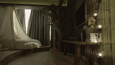 十个爸爸