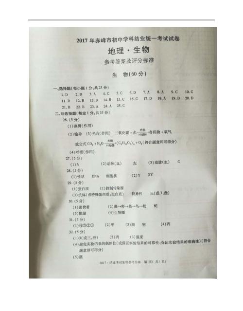 2009 Hulunbeier高中入学考试主题