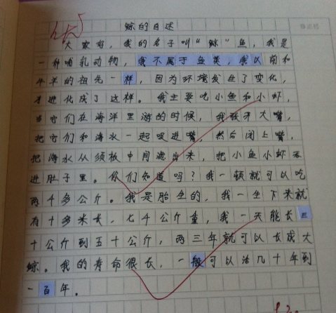 高和远_300字