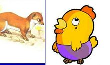 自作自受的故事-黄鼠狼卖伞_350字