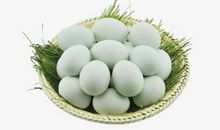 把鸡蛋放在一个篮子里并看好它_600字