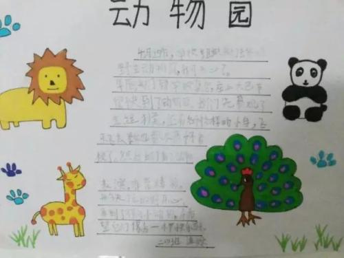 有趣的“动物园”_300字
