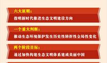 那一刻，我迈上了新台阶_750字