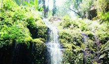 一个美丽的地方——夏履_700字