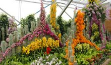 植物优美段落：植物园段落_800字