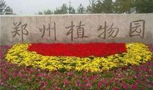 植物优美段落：参观植物园段落_600字