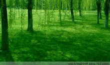 [春天来了]寻找春天_550字