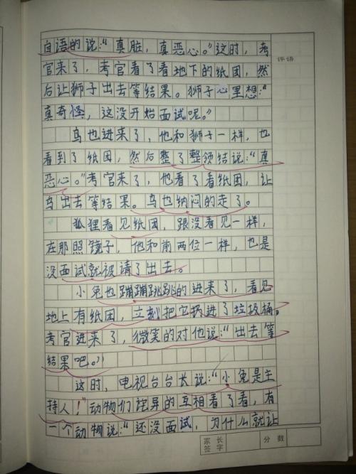 第14章300字