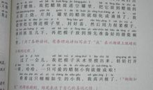 关于狗的作文：狗“吻”_800字