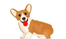 关于狗的作文：可爱狗狗_900字