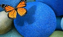 不做鹅卵石_800字