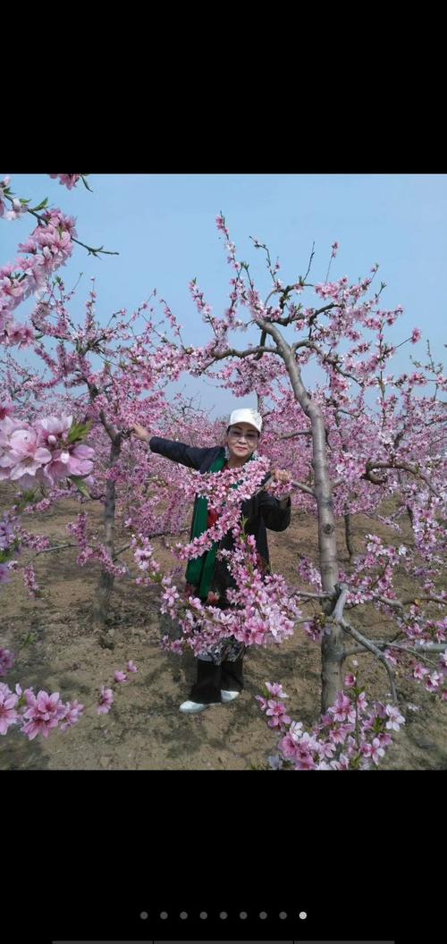 沉迷于鲜花世界_800字