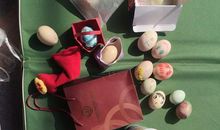 呵护生命——护蛋体验_250字