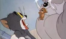 关于狗的作文：猫和狗的故事_800字